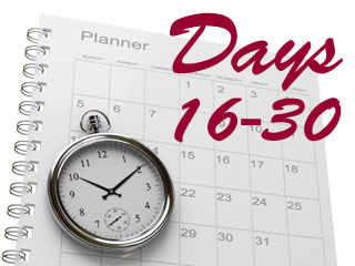Creating a 60 Day Fundraising Plan: Days 16-30