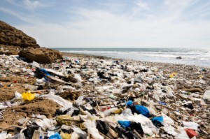 A polluted beach
