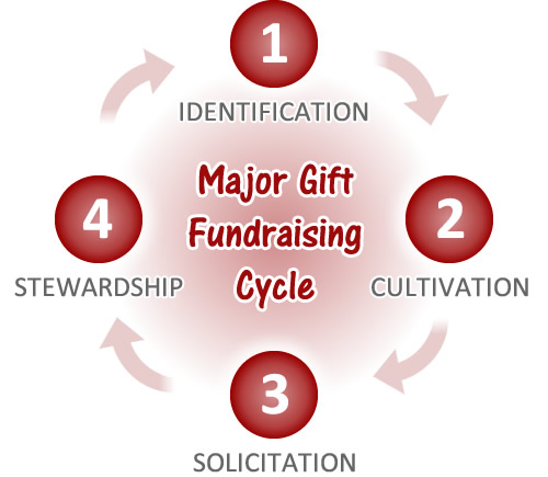 Major Gift Fundraising Cycle