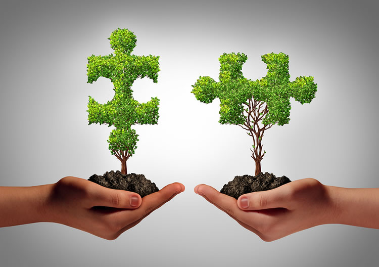 Cultivation: How to Build Relationships with Your Donors