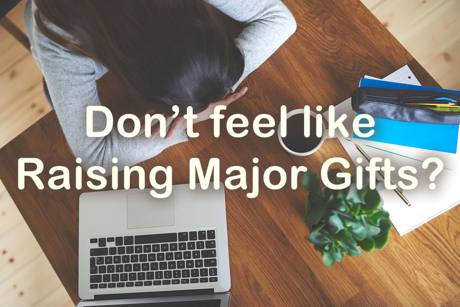 Don't feel like Raising Major Gifts?