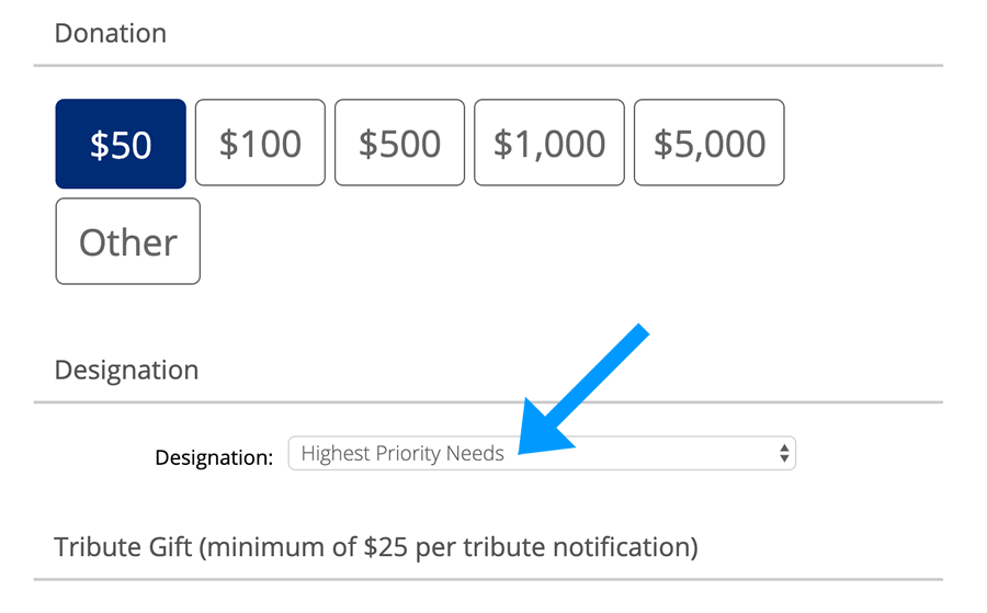 Example 2: Donation Designation to Highest Priority Needs