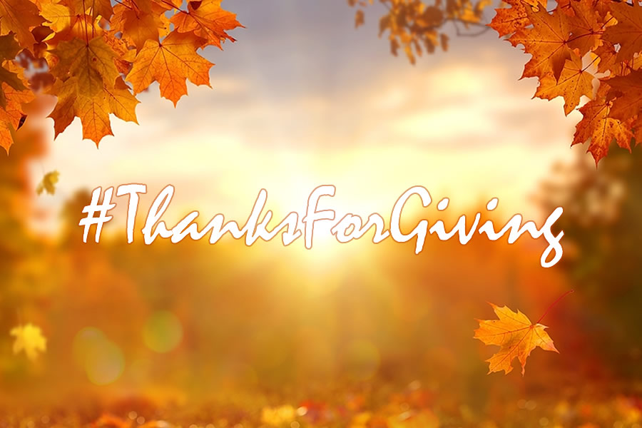 #ThanksForGiving: Expressing Gratitude to Donors and Volunteers at the Holidays